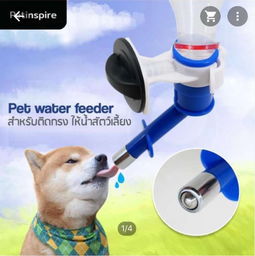 本周五采洽會(huì)來襲，泰國(guó)寵物衣架訂單引爆商機(jī)